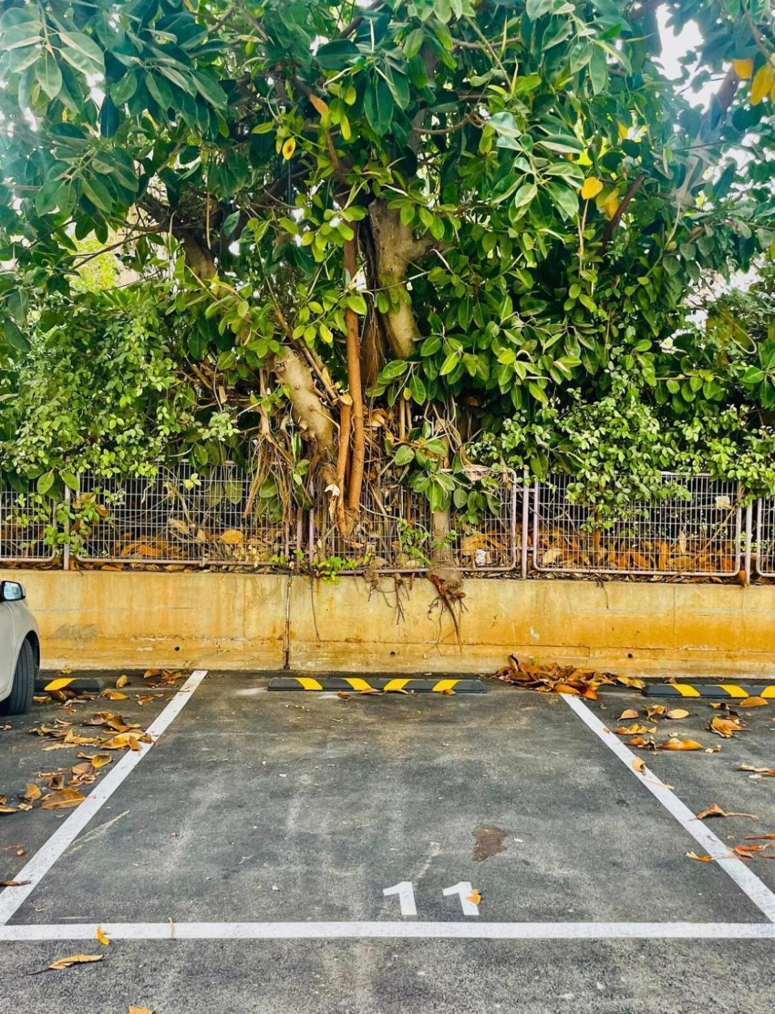 High-End Apartment , With A Private Parking And An Elavator テル・アビブ エクステリア 写真